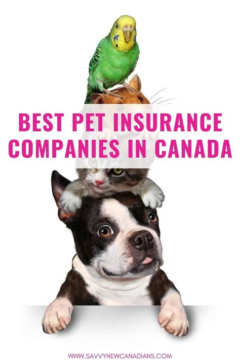 best pets insurance canada